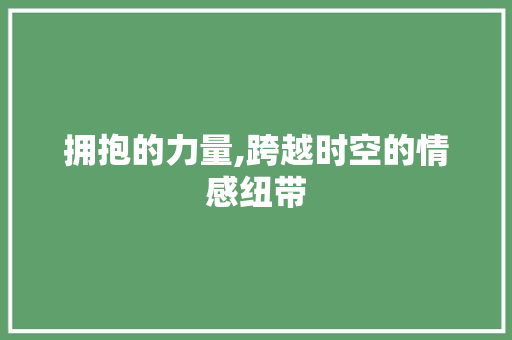 拥抱的力量,跨越时空的情感纽带