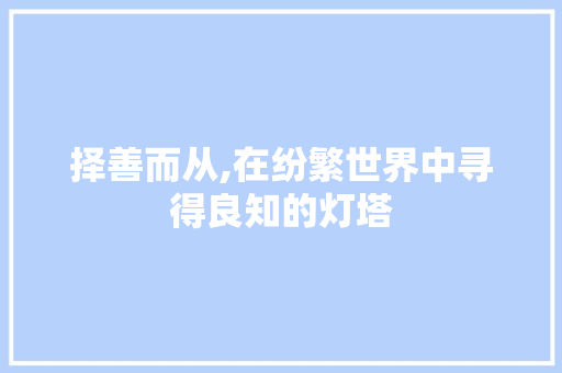 择善而从,在纷繁世界中寻得良知的灯塔