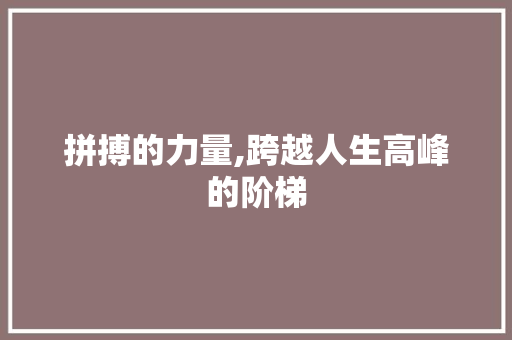拼搏的力量,跨越人生高峰的阶梯