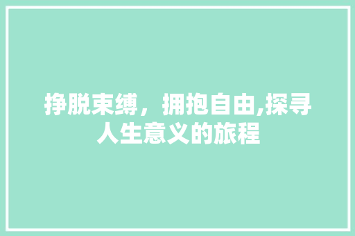 挣脱束缚，拥抱自由,探寻人生意义的旅程