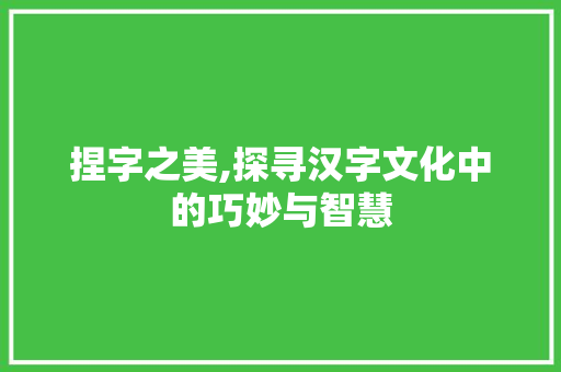 捏字之美,探寻汉字文化中的巧妙与智慧
