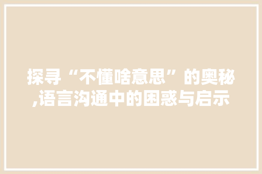 探寻“不懂啥意思”的奥秘,语言沟通中的困惑与启示