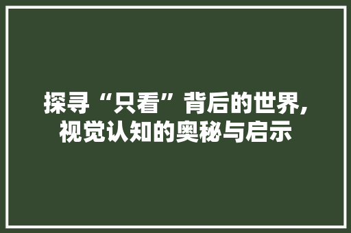 探寻“只看”背后的世界,视觉认知的奥秘与启示