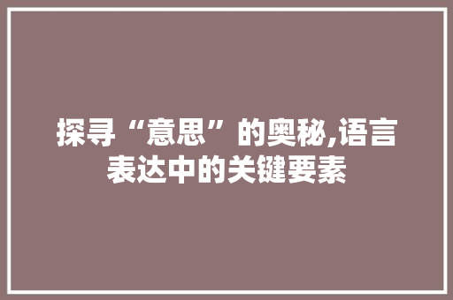 探寻“意思”的奥秘,语言表达中的关键要素