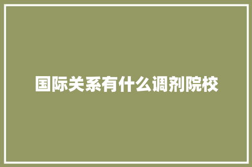 国际关系有什么调剂院校