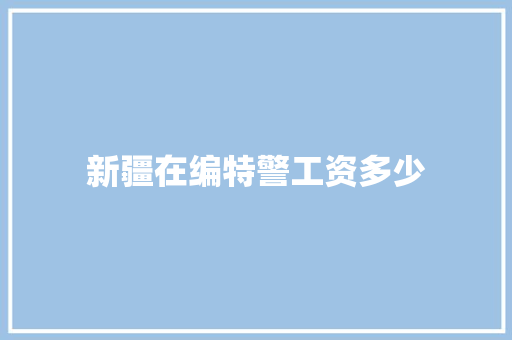 新疆在编特警工资多少