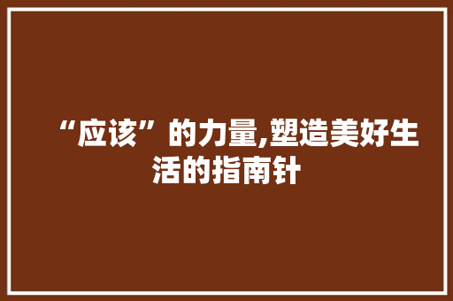 “应该”的力量,塑造美好生活的指南针