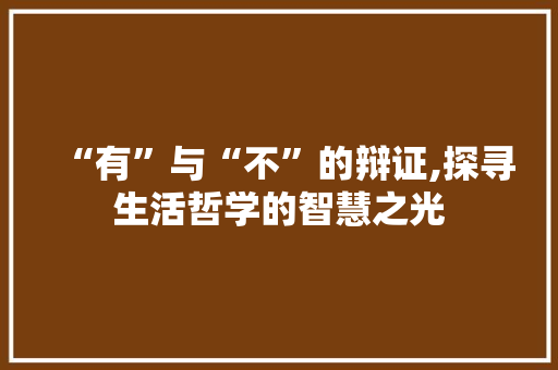 “有”与“不”的辩证,探寻生活哲学的智慧之光