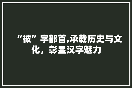 “被”字部首,承载历史与文化，彰显汉字魅力