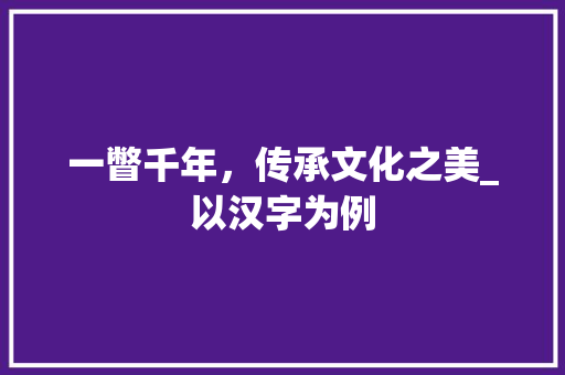 一瞥千年，传承文化之美_以汉字为例