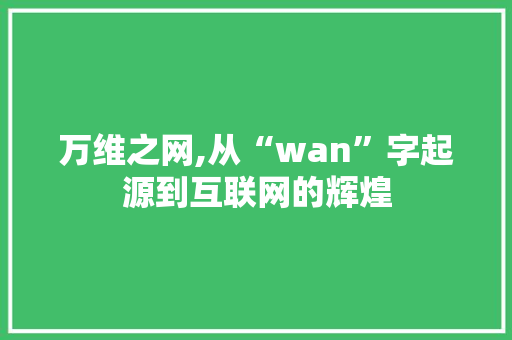 万维之网,从“wan”字起源到互联网的辉煌