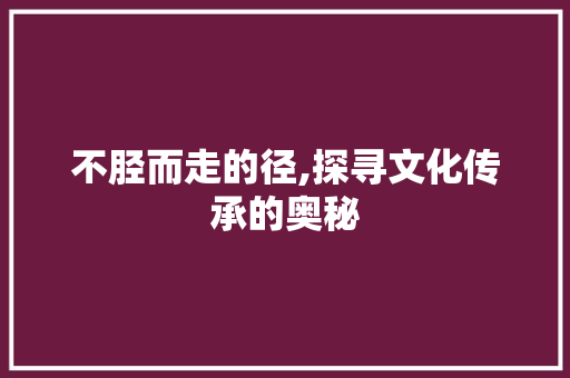 不胫而走的径,探寻文化传承的奥秘
