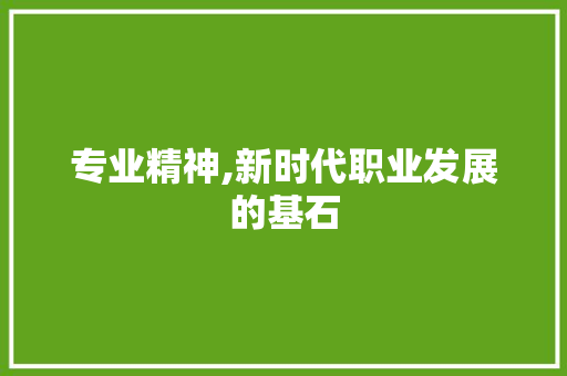 专业精神,新时代职业发展的基石