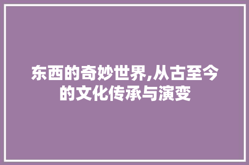 东西的奇妙世界,从古至今的文化传承与演变