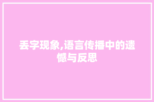 丢字现象,语言传播中的遗憾与反思