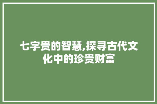 七字贵的智慧,探寻古代文化中的珍贵财富