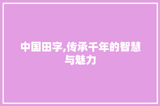 中国田字,传承千年的智慧与魅力