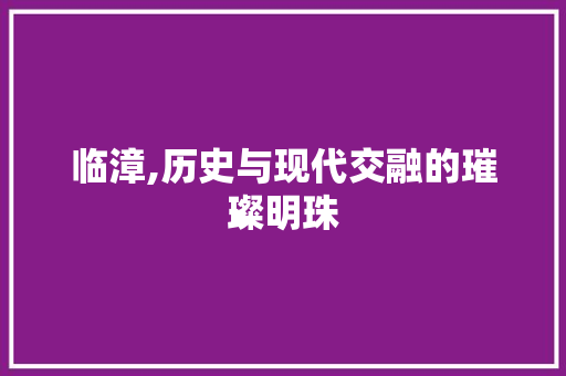 临漳,历史与现代交融的璀璨明珠 职场应用