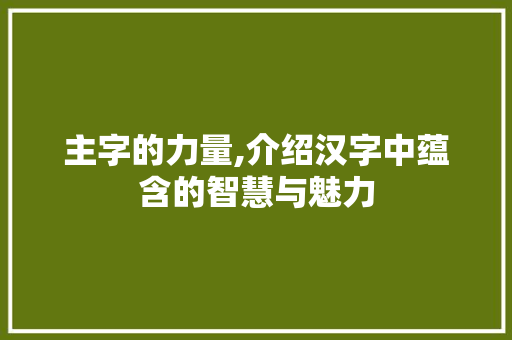 主字的力量,介绍汉字中蕴含的智慧与魅力