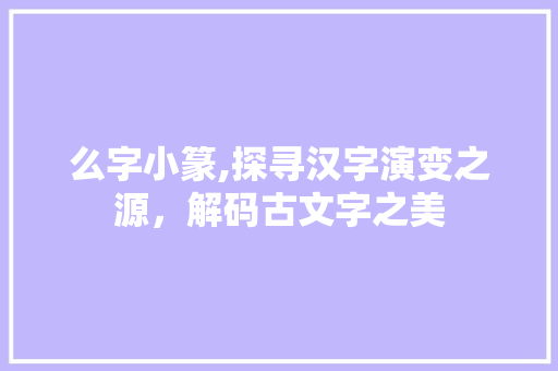 么字小篆,探寻汉字演变之源，解码古文字之美