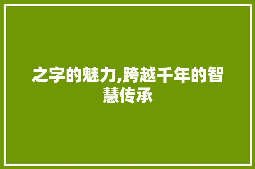 之字的魅力,跨越千年的智慧传承