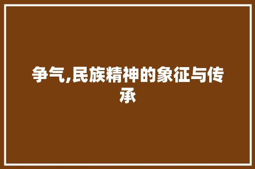 争气,民族精神的象征与传承