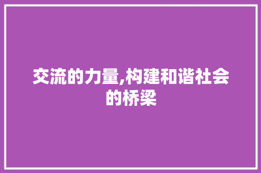 交流的力量,构建和谐社会的桥梁