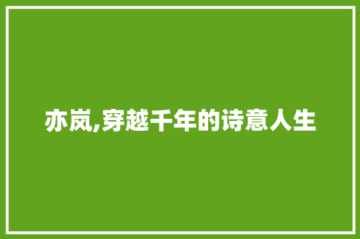 亦岚,穿越千年的诗意人生
