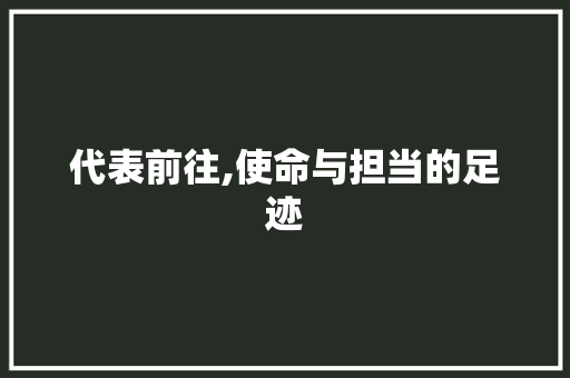 代表前往,使命与担当的足迹