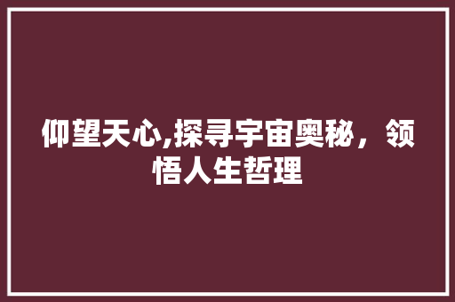 仰望天心,探寻宇宙奥秘，领悟人生哲理