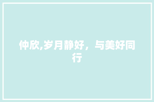 仲欣,岁月静好，与美好同行
