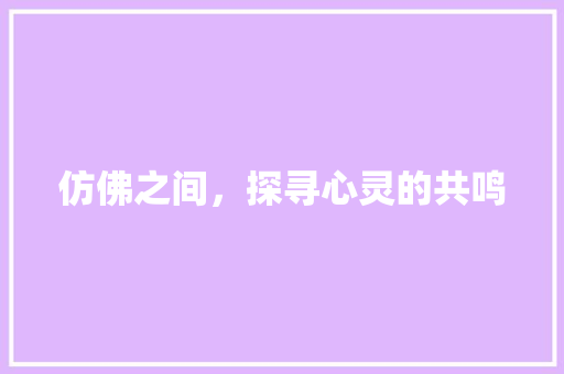 仿佛之间，探寻心灵的共鸣