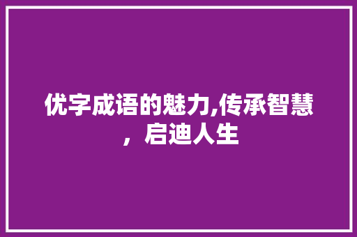 优字成语的魅力,传承智慧，启迪人生