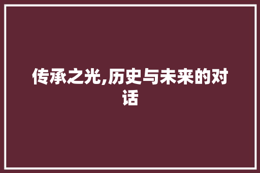 传承之光,历史与未来的对话