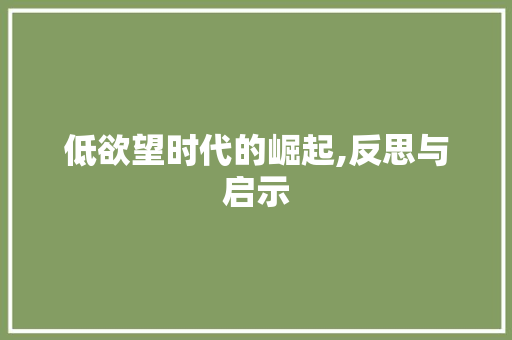 低欲望时代的崛起,反思与启示