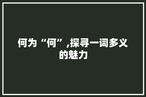 何为“何”,探寻一词多义的魅力