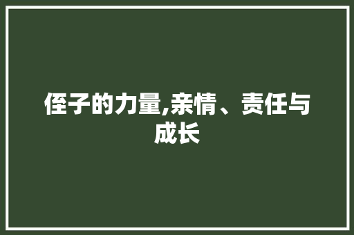 侄子的力量,亲情、责任与成长
