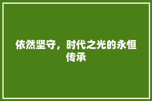依然坚守，时代之光的永恒传承