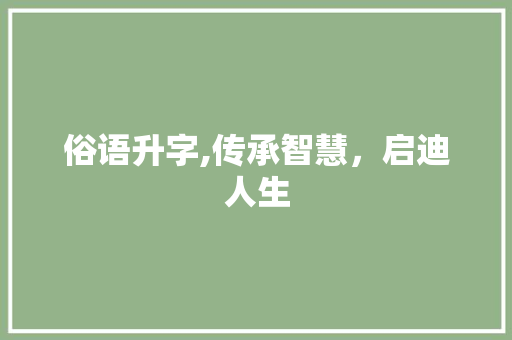 俗语升字,传承智慧，启迪人生