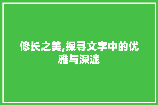 修长之美,探寻文字中的优雅与深邃