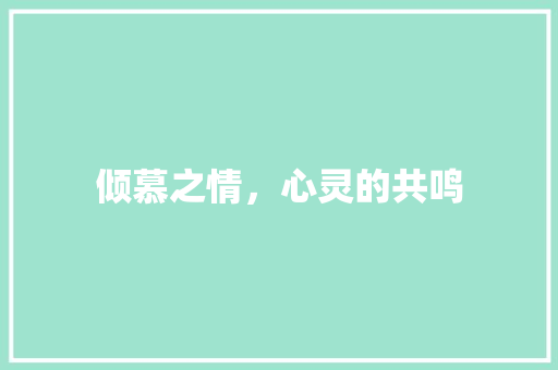 倾慕之情，心灵的共鸣