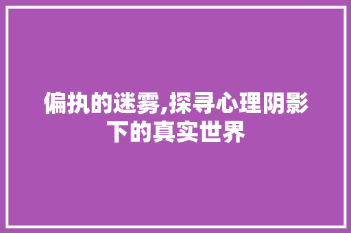 偏执的迷雾,探寻心理阴影下的真实世界