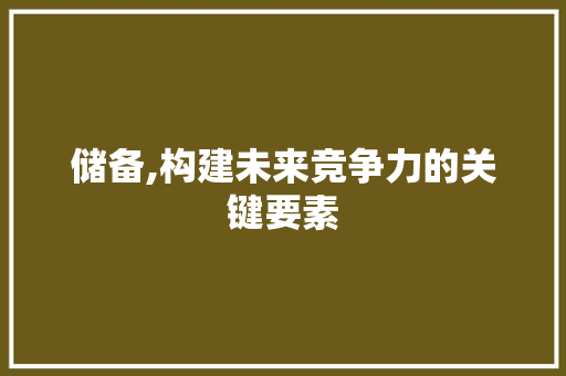 储备,构建未来竞争力的关键要素