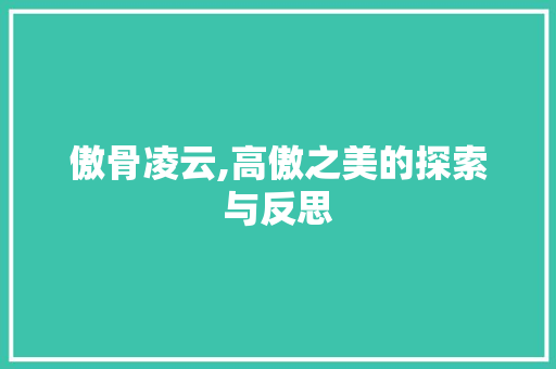 傲骨凌云,高傲之美的探索与反思