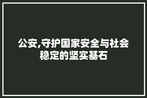 公安,守护国家安全与社会稳定的坚实基石
