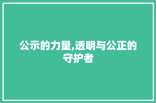 公示的力量,透明与公正的守护者
