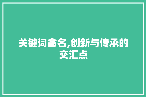 关键词命名,创新与传承的交汇点