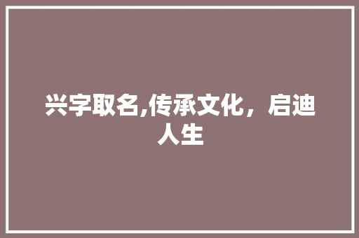 兴字取名,传承文化，启迪人生