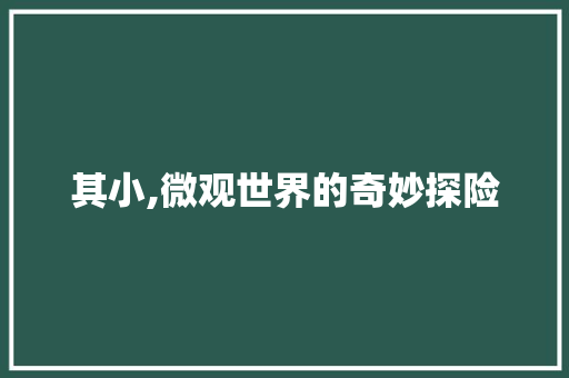 其小,微观世界的奇妙探险
