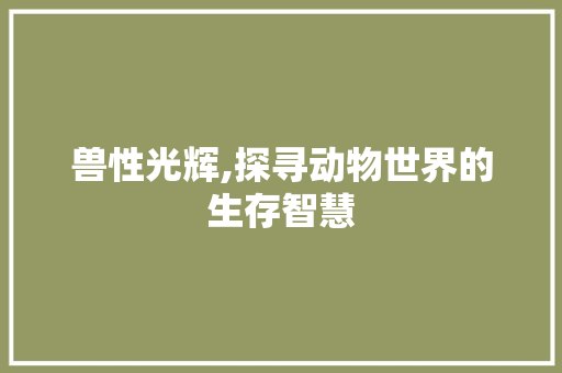 兽性光辉,探寻动物世界的生存智慧